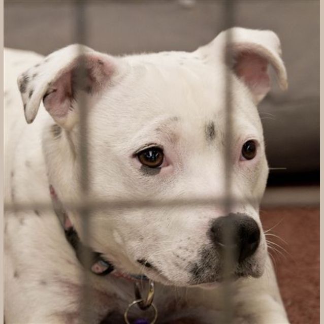 Photo of Hope