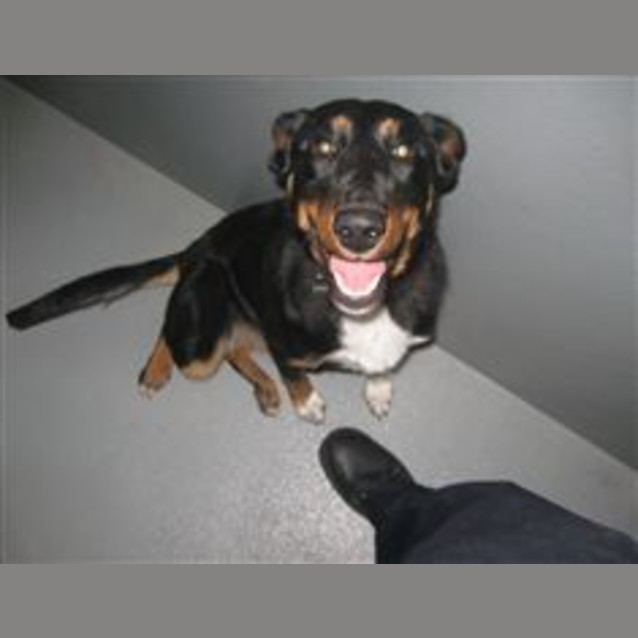 Photo of Urgent Foster Care By Sunday 23rd