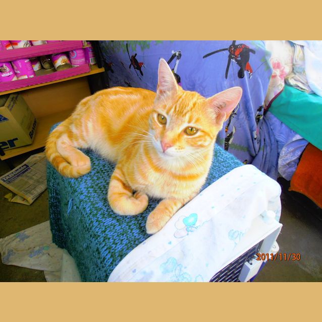 Photo of Charles