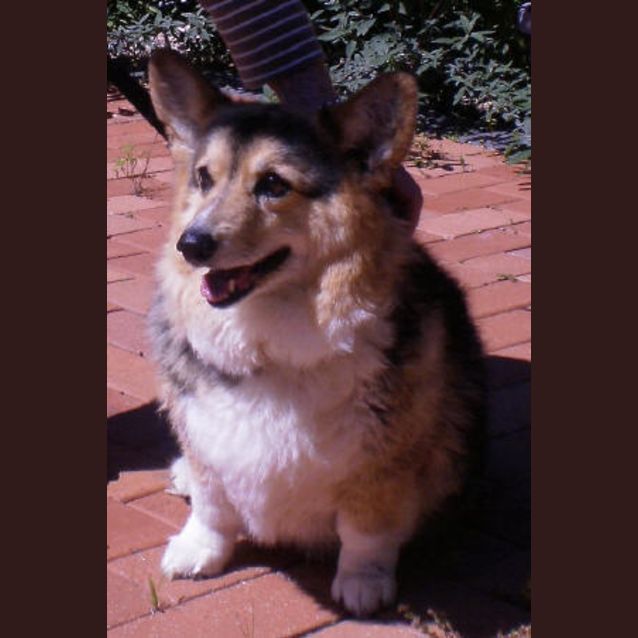 Photo of Molly Is Trying A New Home !!