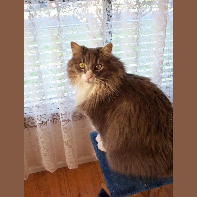 Photo of Fifi