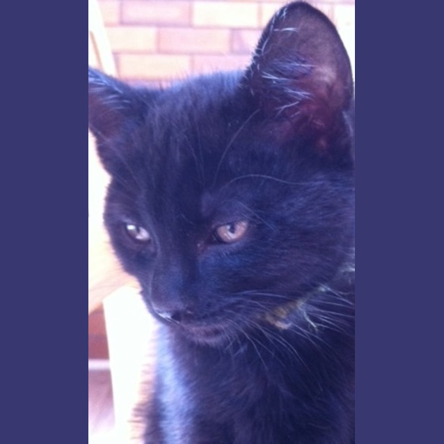 Photo of Rosie