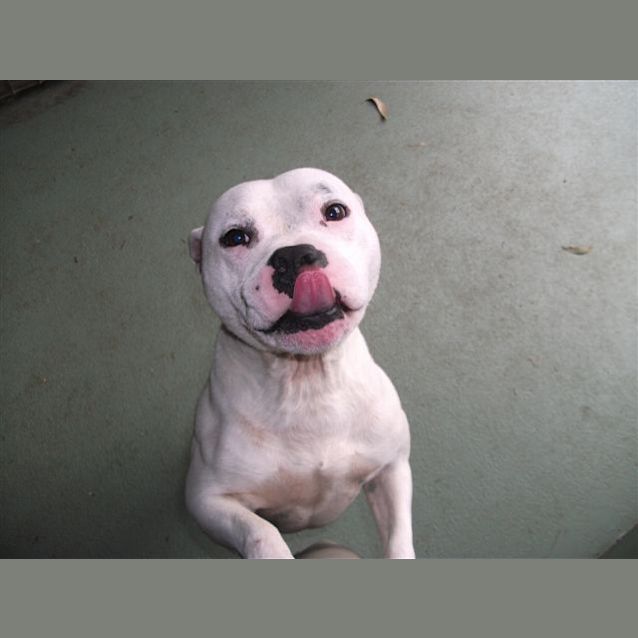 Photo of Gus