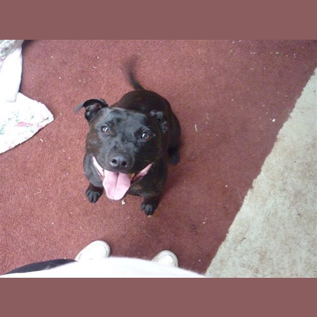 Photo of Daisy