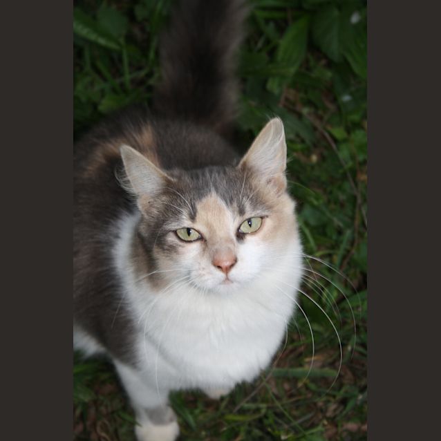 Photo of Meeke