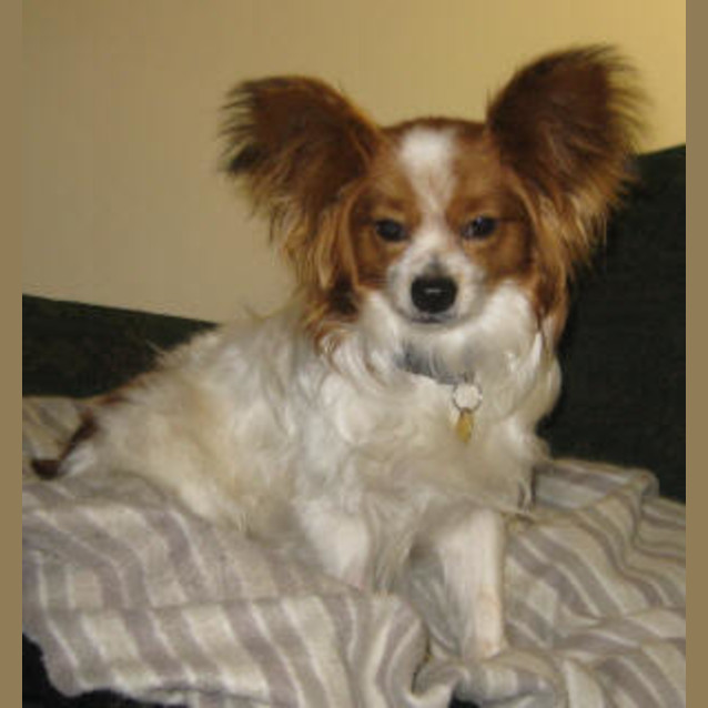 Photo of Wilson