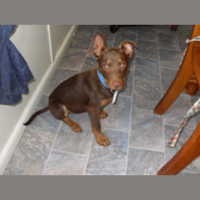 Photo of Ernie