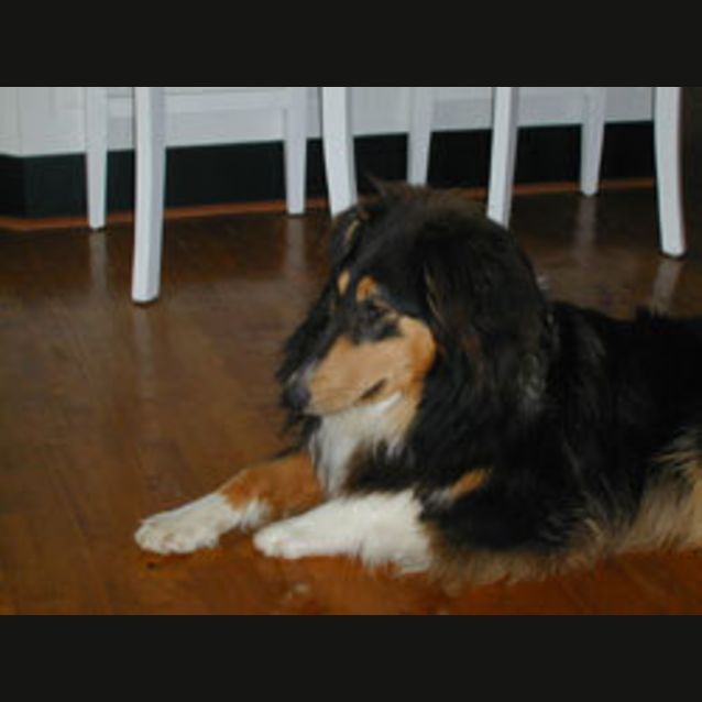 Photo of Larnie