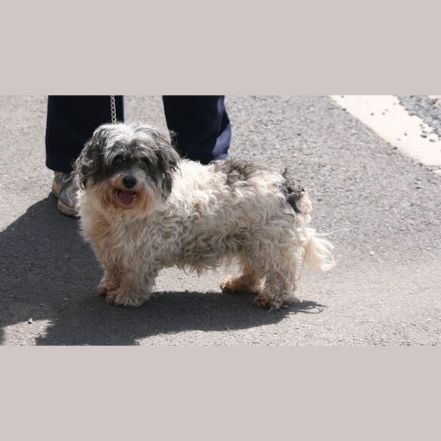 Photo of Penny
