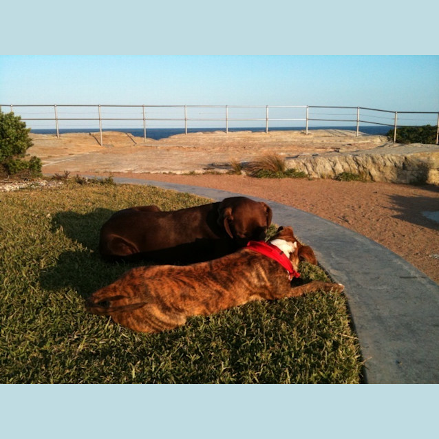 Photo of Drummer   On Trial!!!!!!