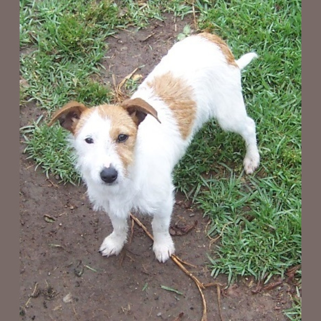 Photo of Dee  On Hold