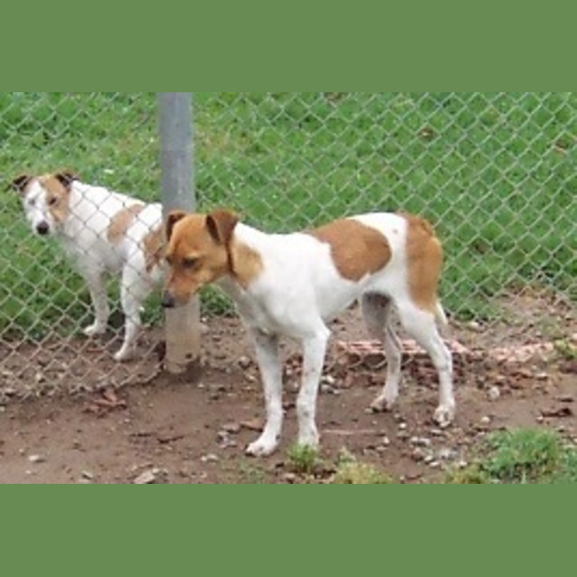 Photo of Curtis  On Hold