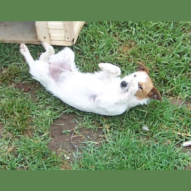 Photo of Dee  On Hold