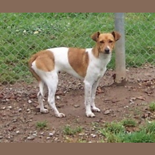 Photo of Curtis  On Hold