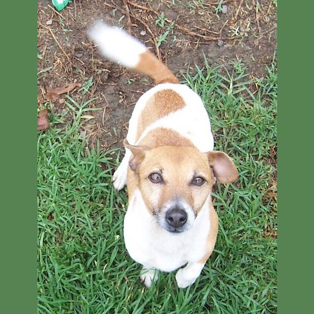 Photo of Bingo  On Hold