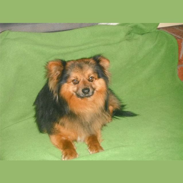 Photo of Cj