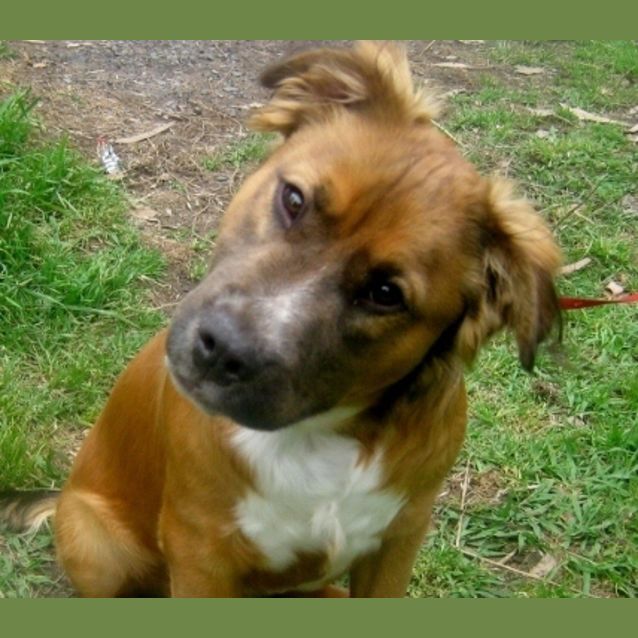 Photo of Russ   On Trial  