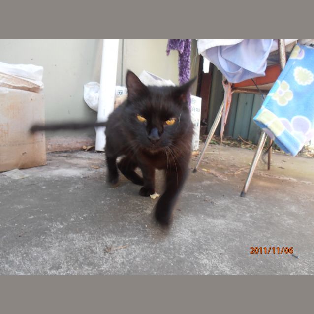 Photo of Buddy
