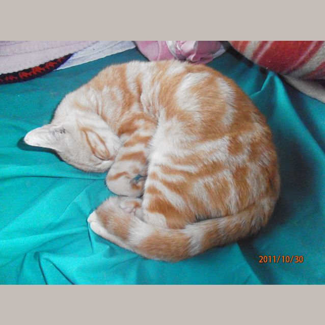 Photo of George