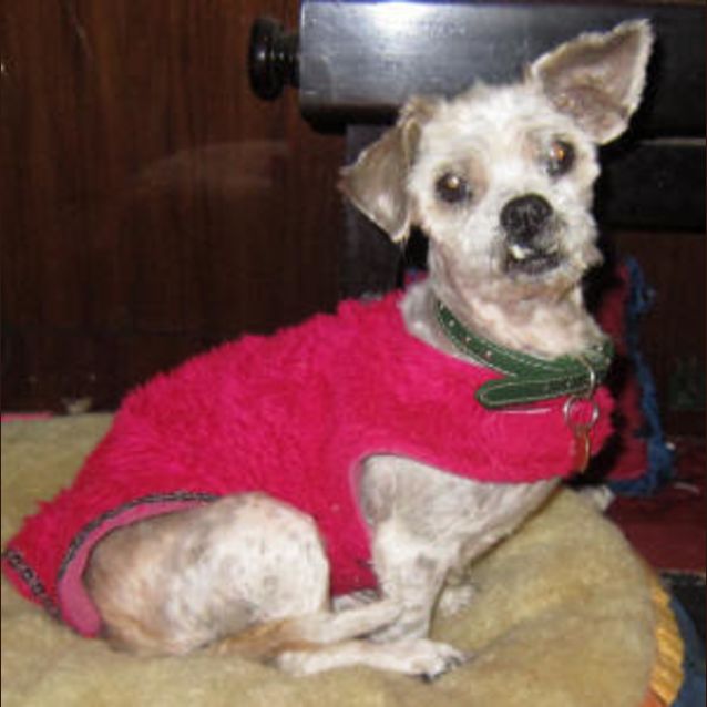 Photo of Coco
