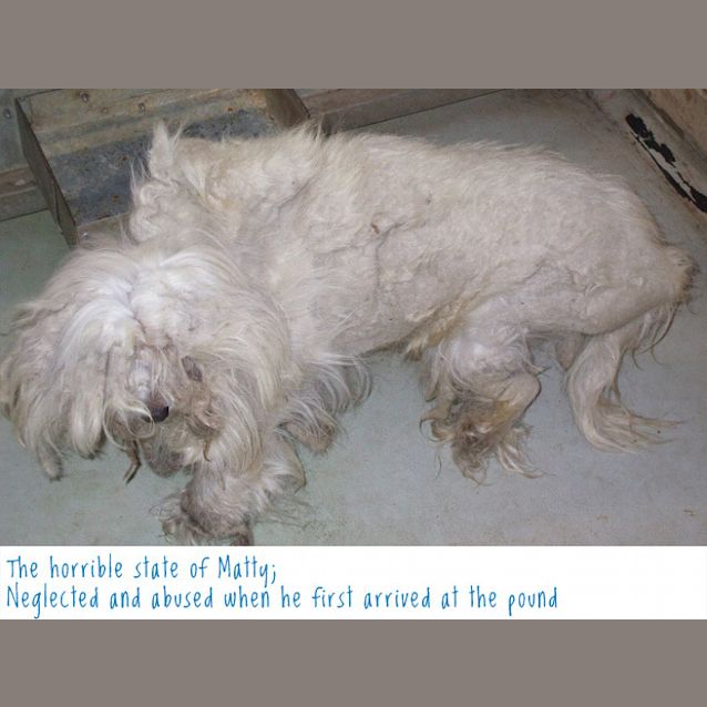 Photo of Matty   On Hold