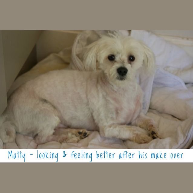 Photo of Matty   On Hold