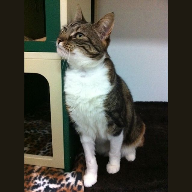 Photo of Ellie C09011