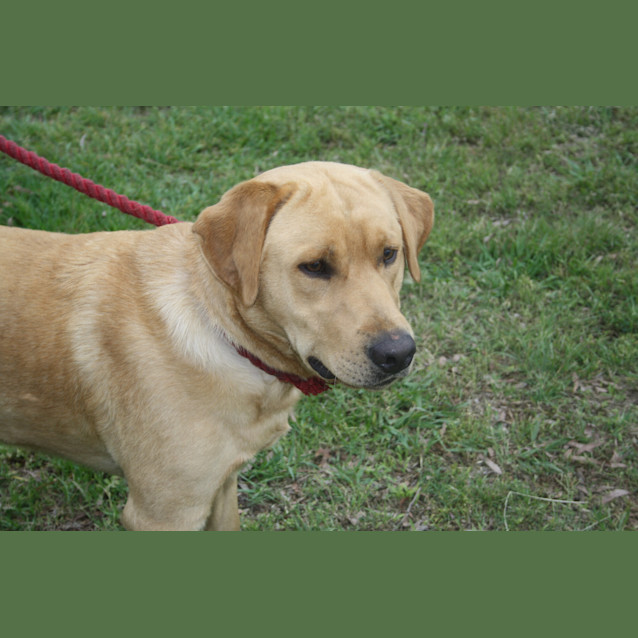 Photo of Jasper