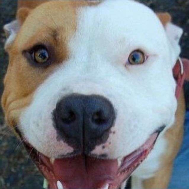 Photo of Bronx