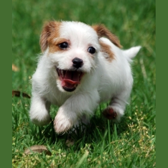 Photo of Little Lottie