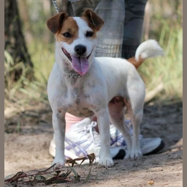 Photo of Charlie