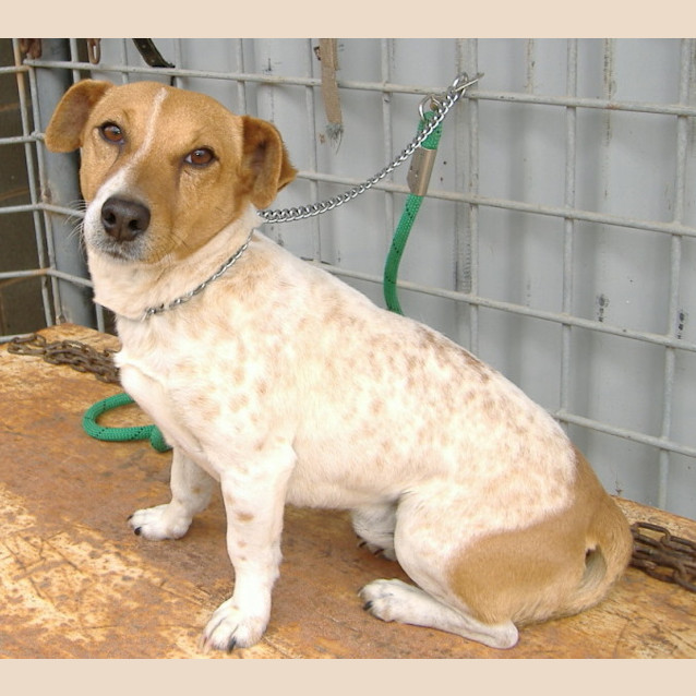 Photo of Garner Adopted