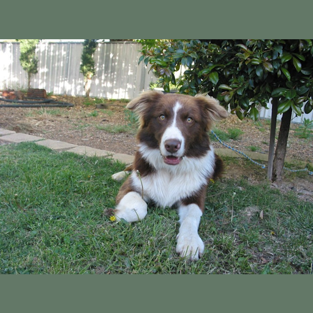 Photo of Tigger