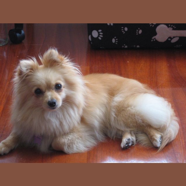 Photo of Wellah