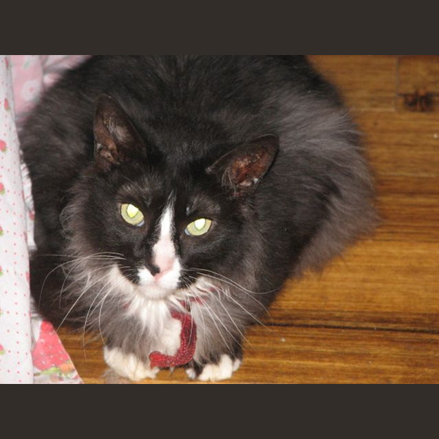 Photo of Moe