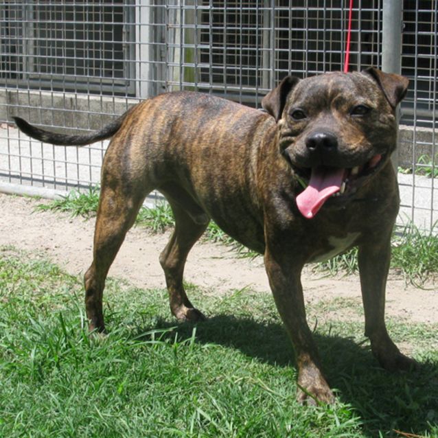 Photo of Biggsy