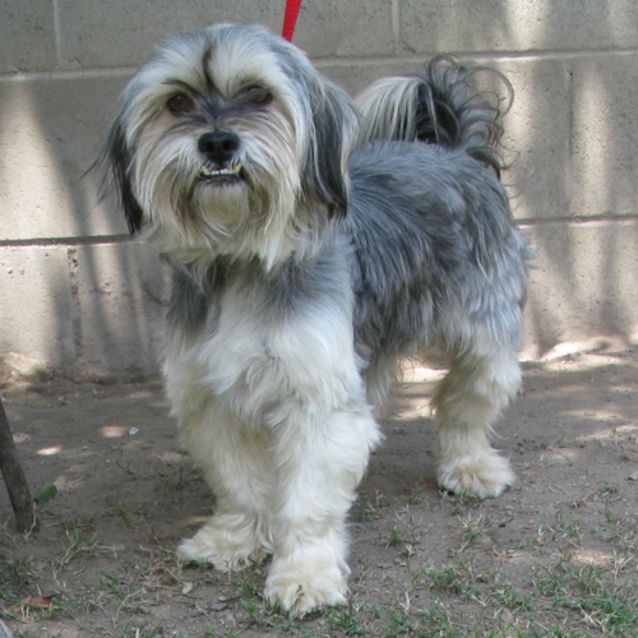Photo of Monty