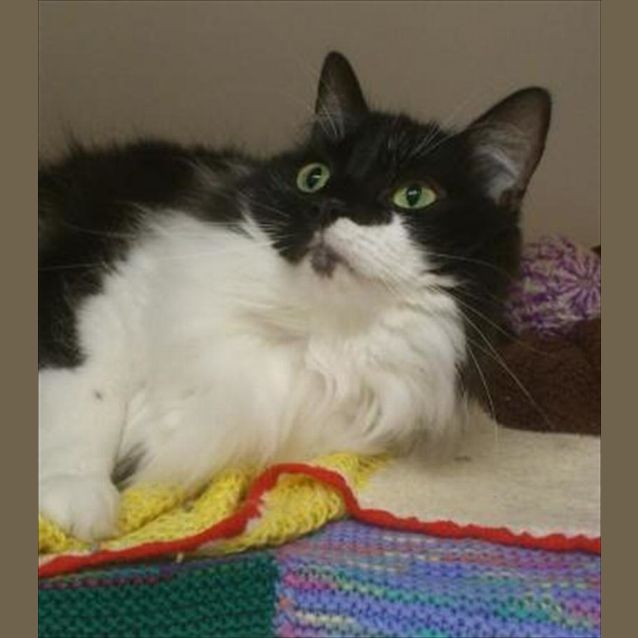 Photo of C5296 Charlie