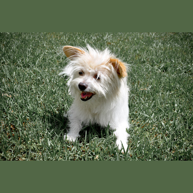 Photo of Maci