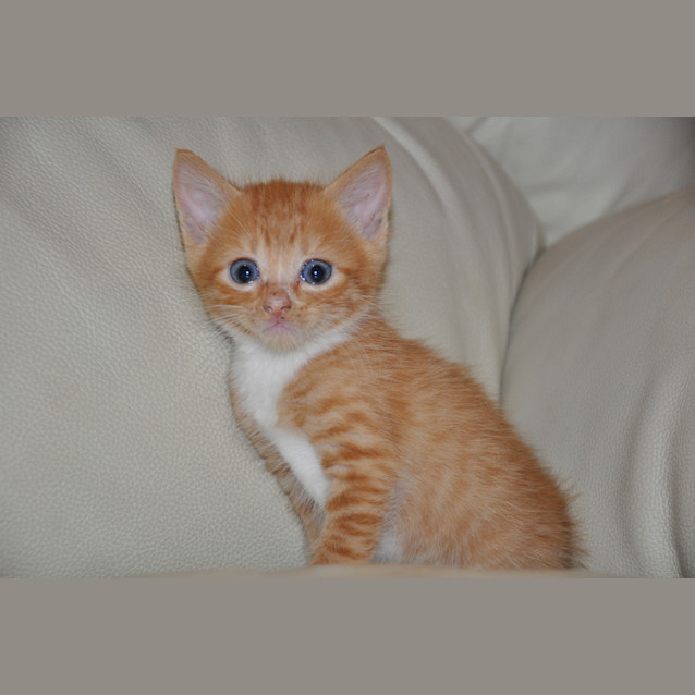 Photo of Ernie