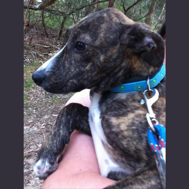 Photo of Hazel