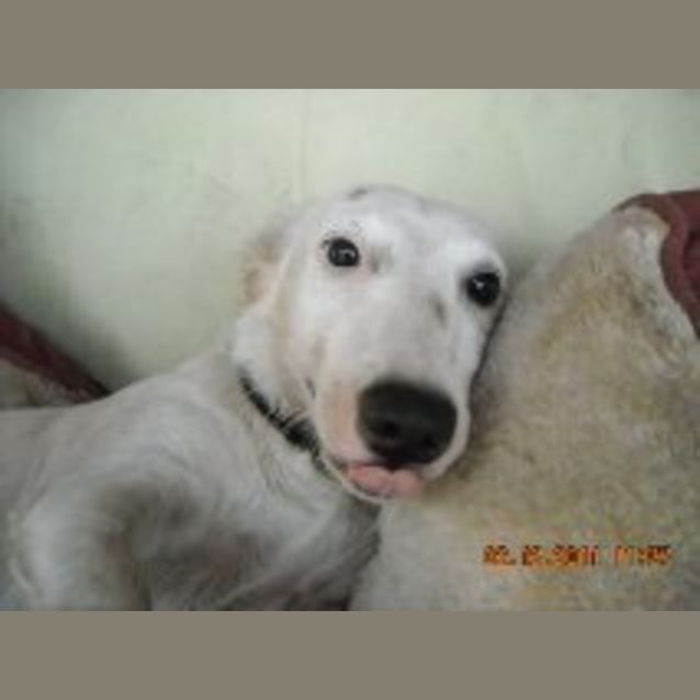 Photo of Leyla