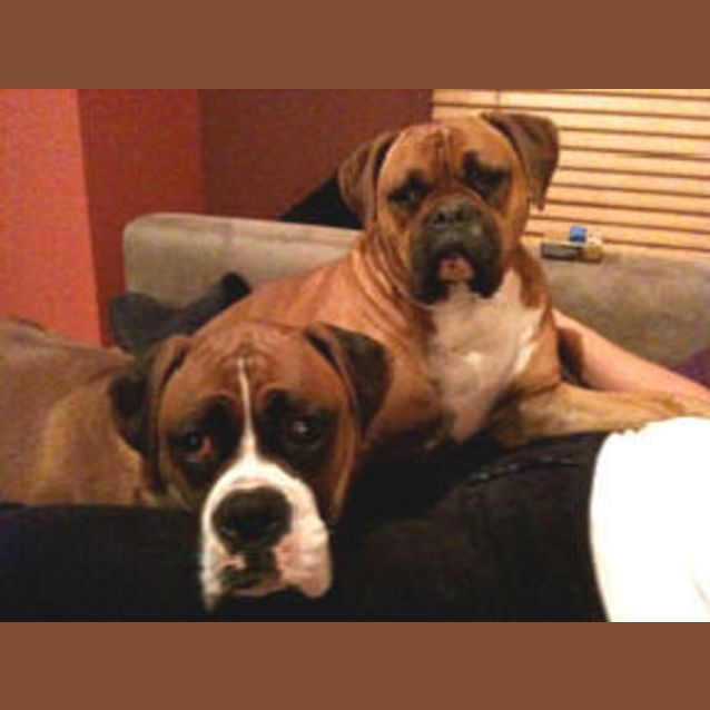 Photo of Busta