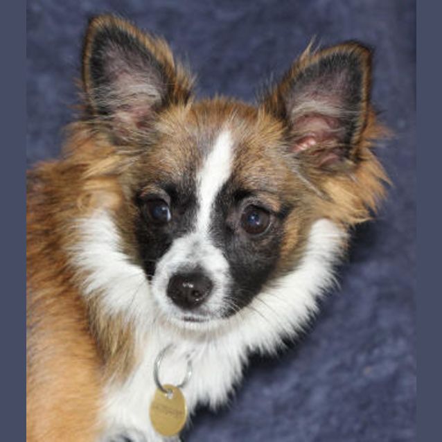 Photo of Lucas