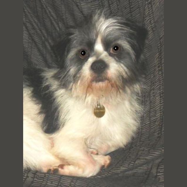 Photo of Gunner
