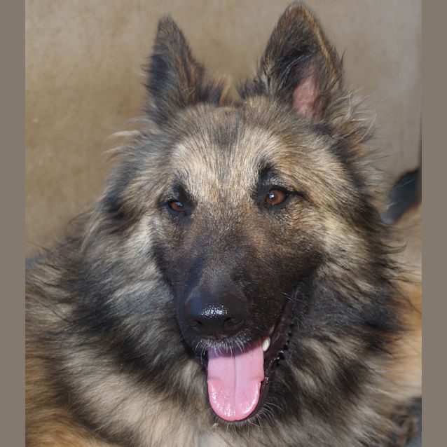 Photo of Xanto