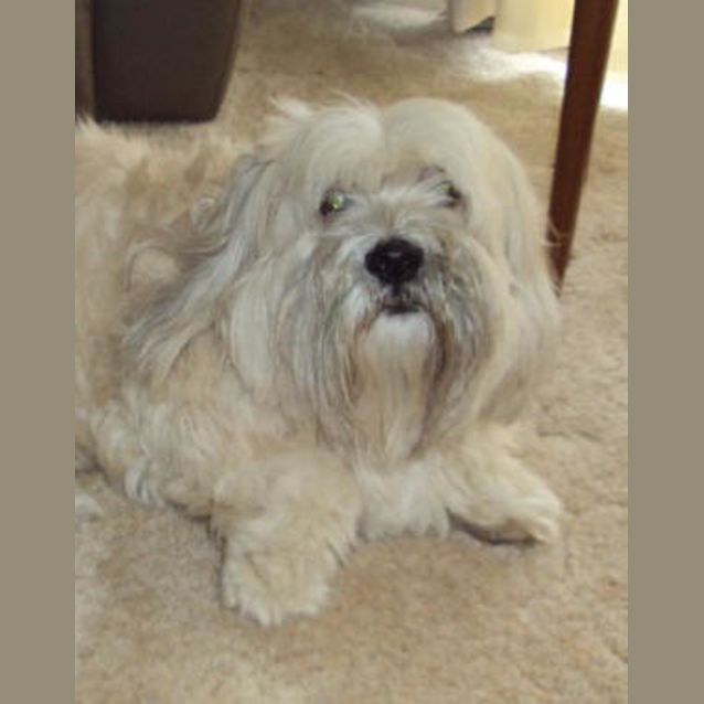 Photo of Sophie