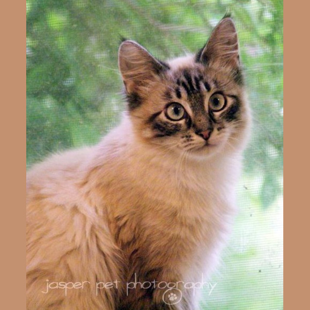 Photo of Trent   On Trial In Her New Home!