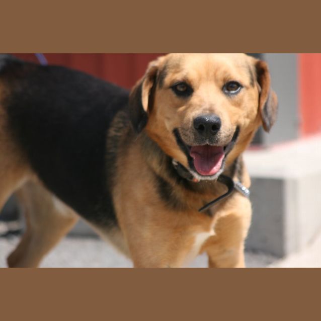 Photo of Reggie