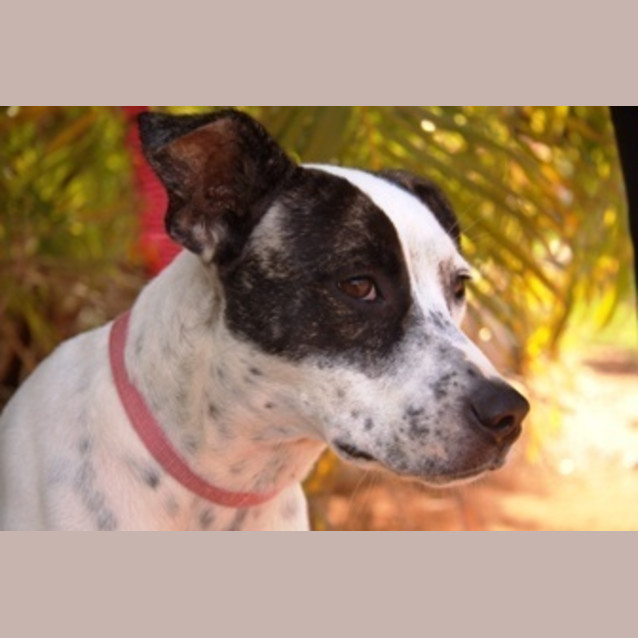 Photo of Tahlia(d1998)